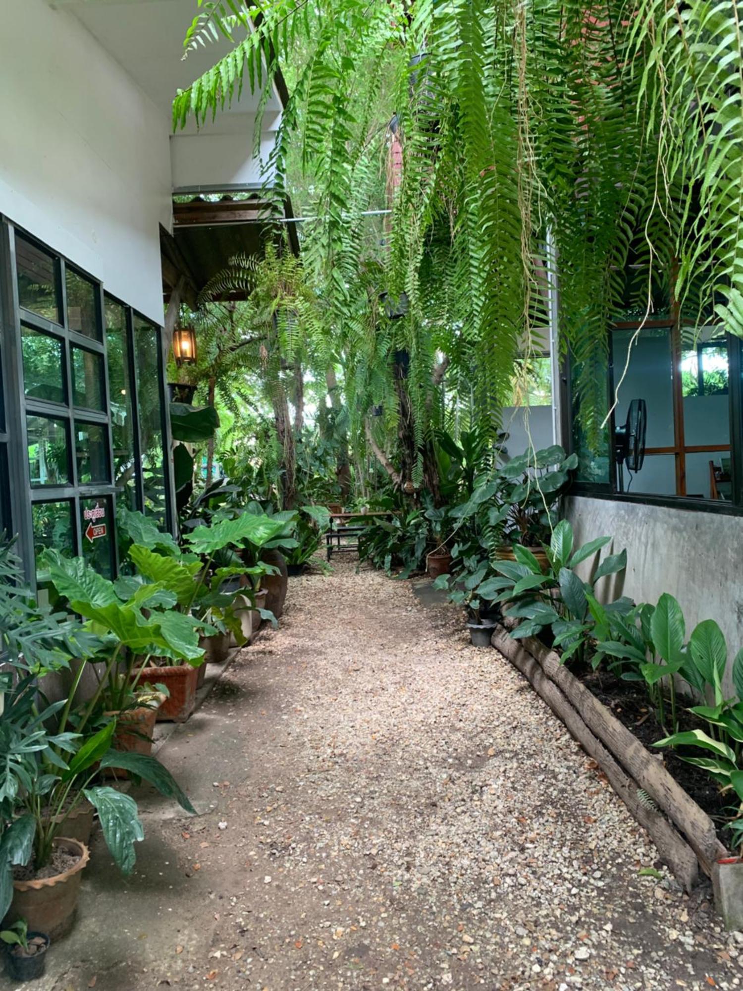 Baan Suan Duang Porn Resort Ban Phae  Exterior foto